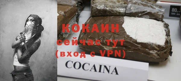 индика Саяногорск