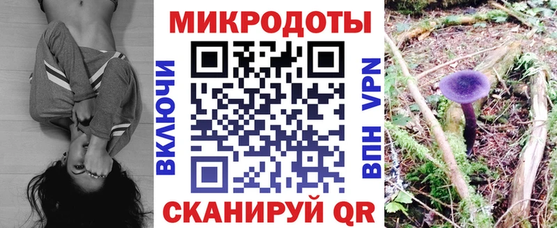 это Telegram  Саяногорск  Псилоцибиновые грибы MAGIC MUSHROOMS 